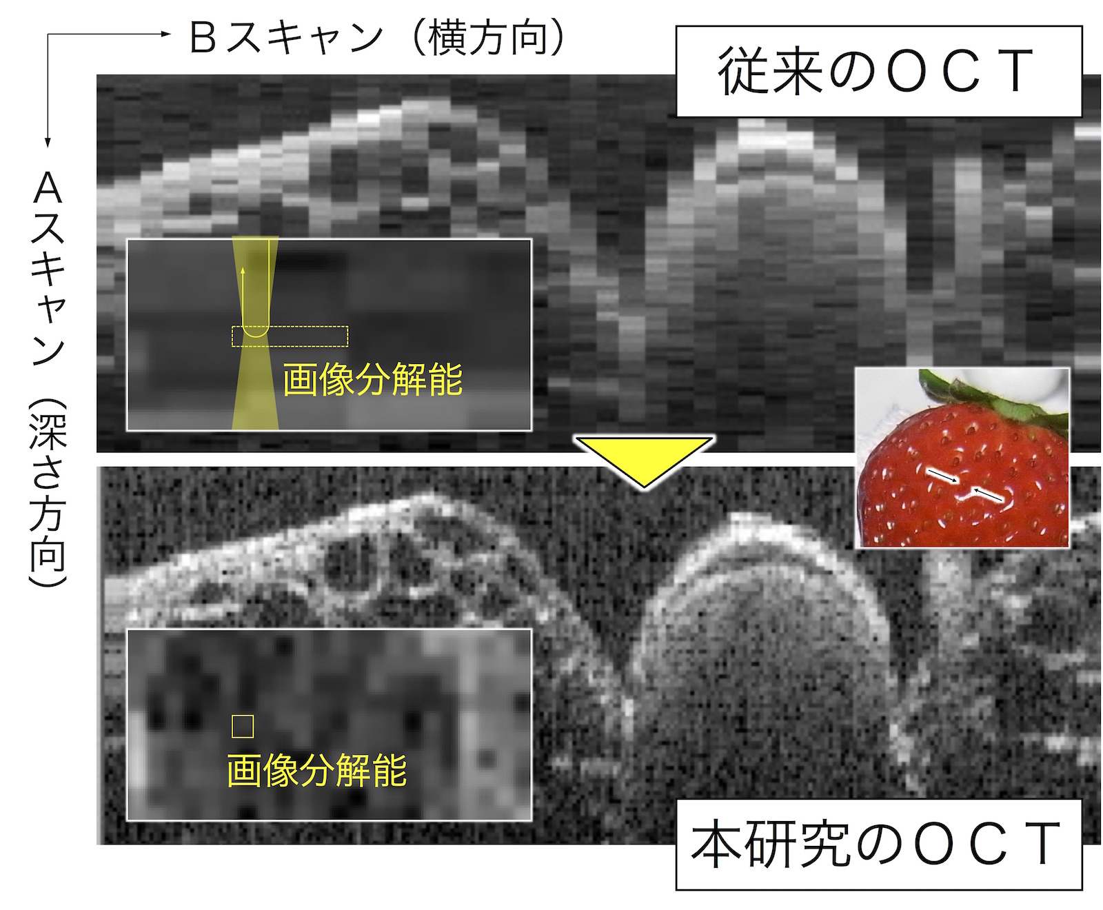 Figure_1.jpg